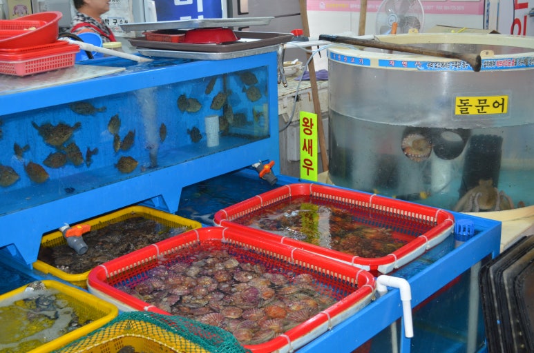 삼천포회센타 이미지