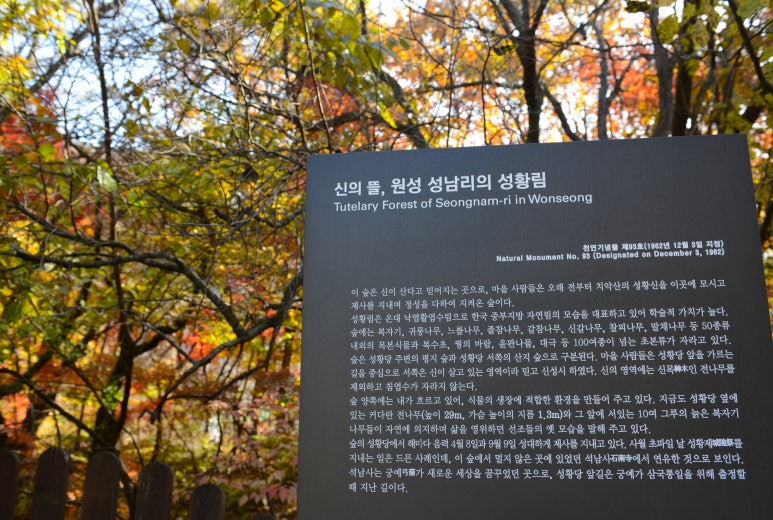 피노키오 자연휴양림 야영장 이미지