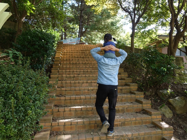 무양공원 유아숲체험원 이미지