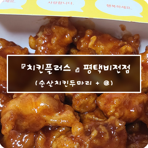 치킨플러스비전 이미지