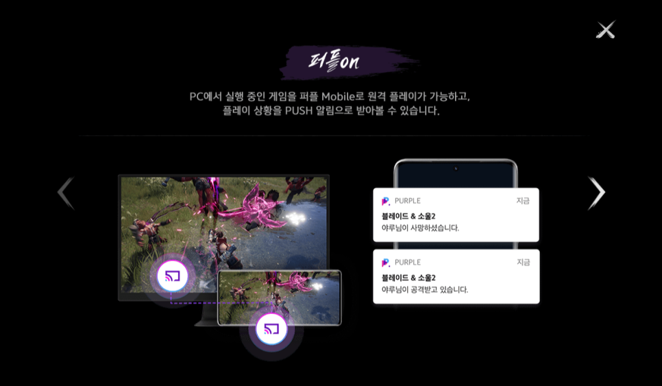 퍼플커뮤니케이션 이미지