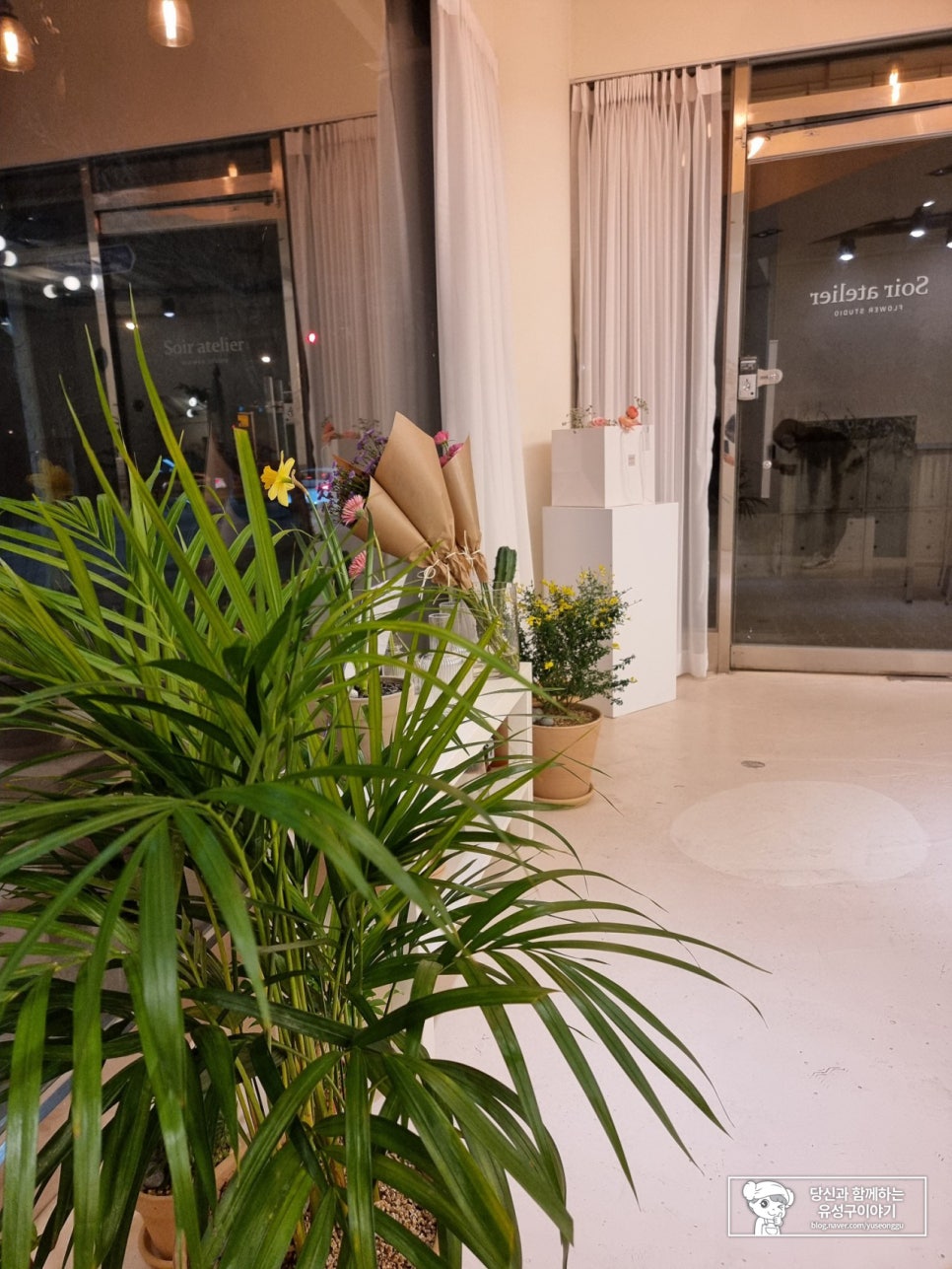 수아르 이미지