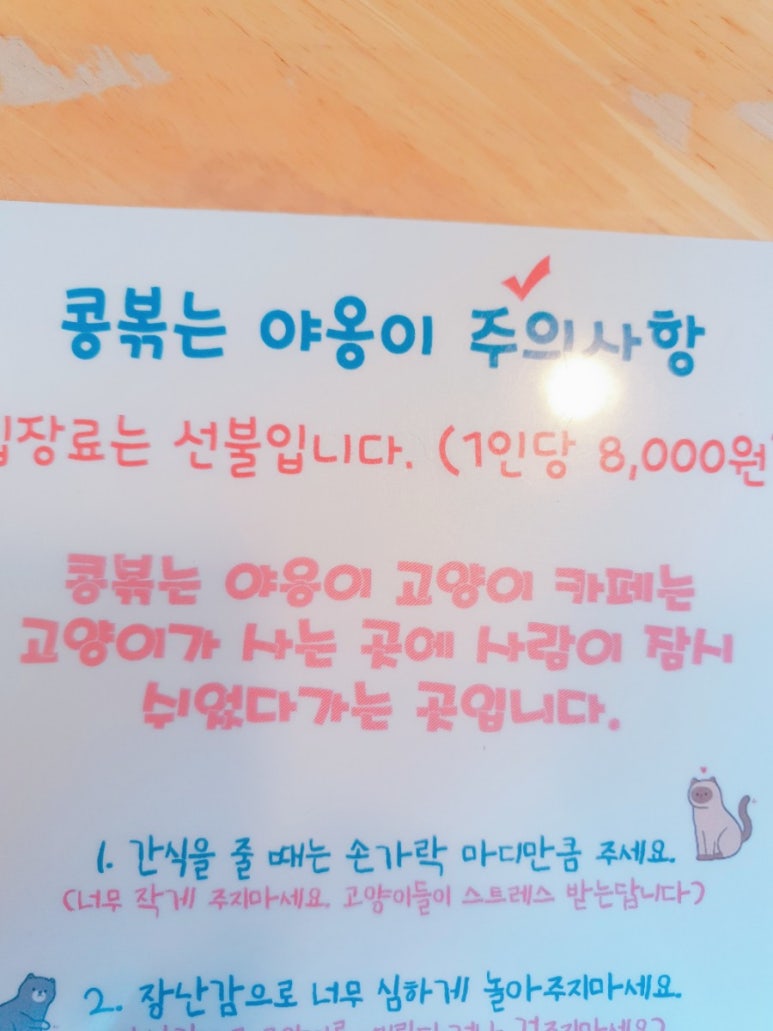 콩볶는야옹이 이미지