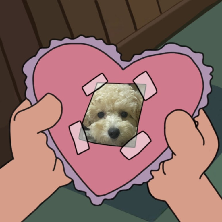 띵까띵까 이미지