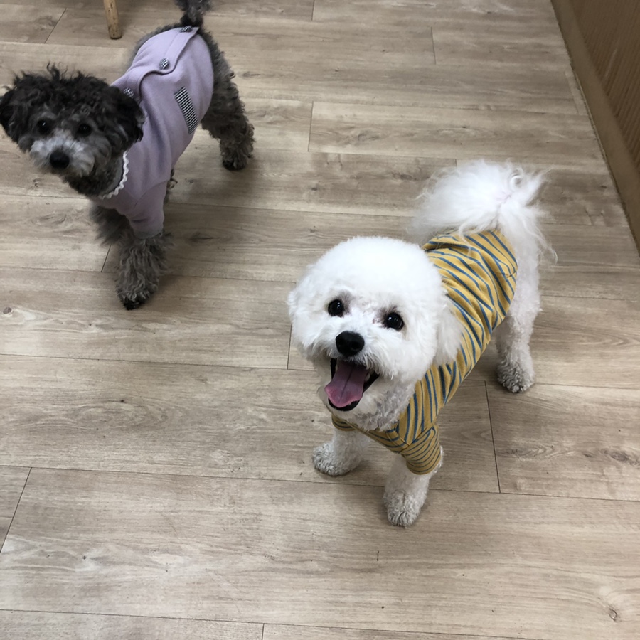 카페금천 이미지