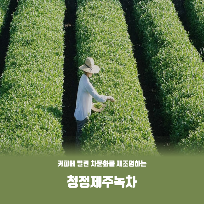 신화관광협동조합 이미지