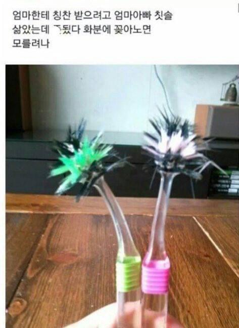 리얼도너츠 이미지