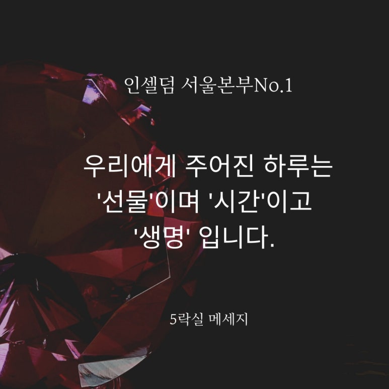 인셀덤M뷰티 이미지