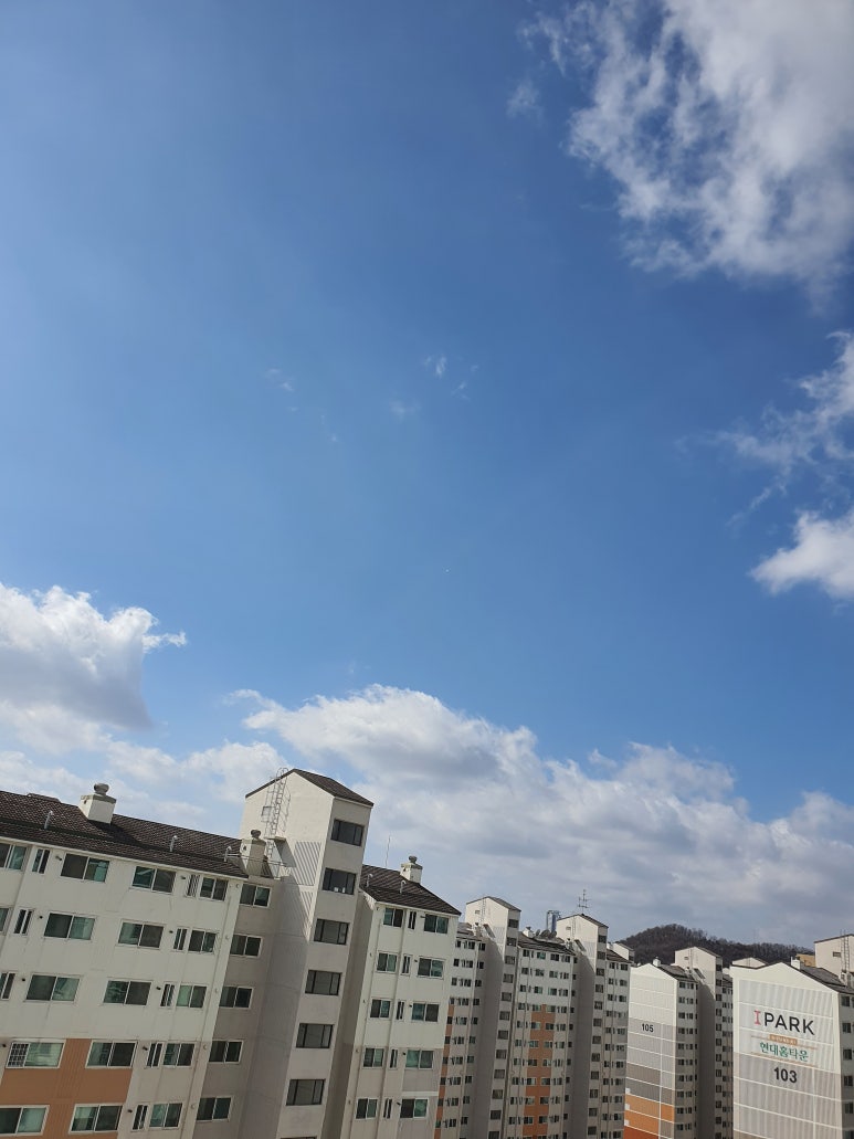 생생이두부보쌈 이미지