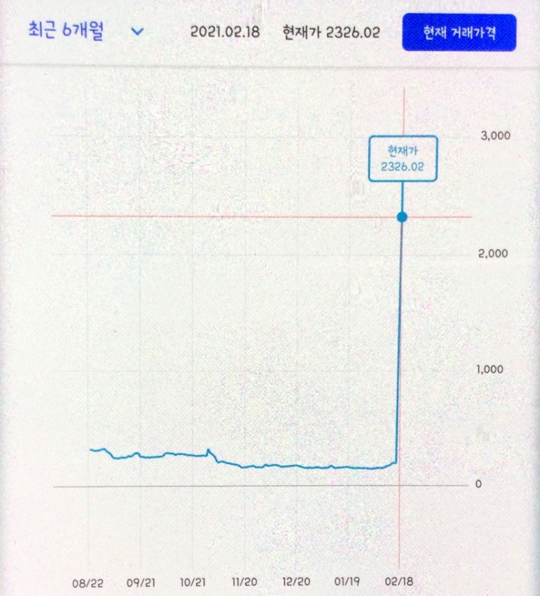 도미노피자서 이미지