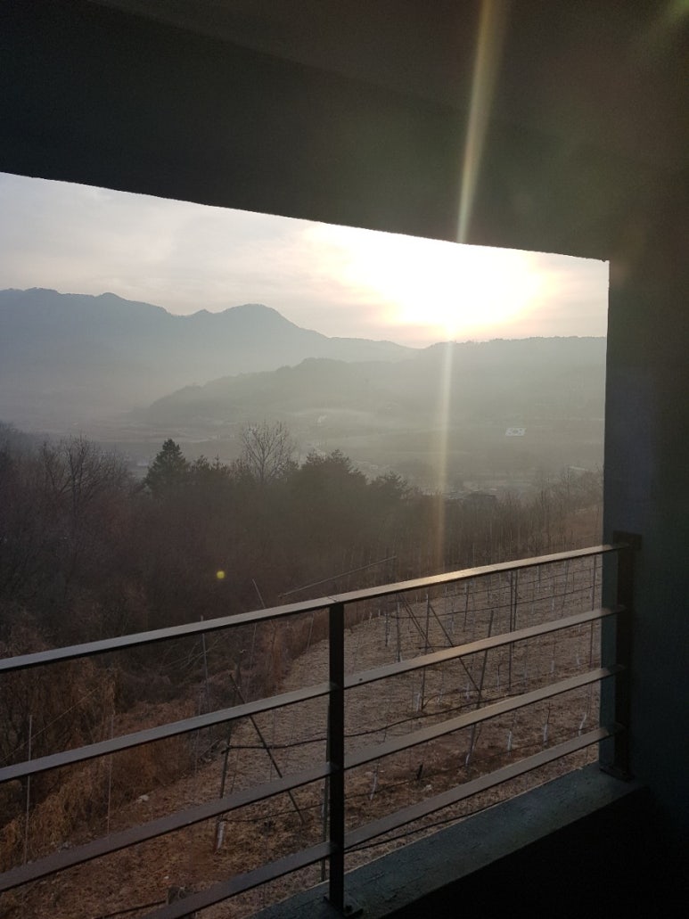 달빛추억팬션 이미지