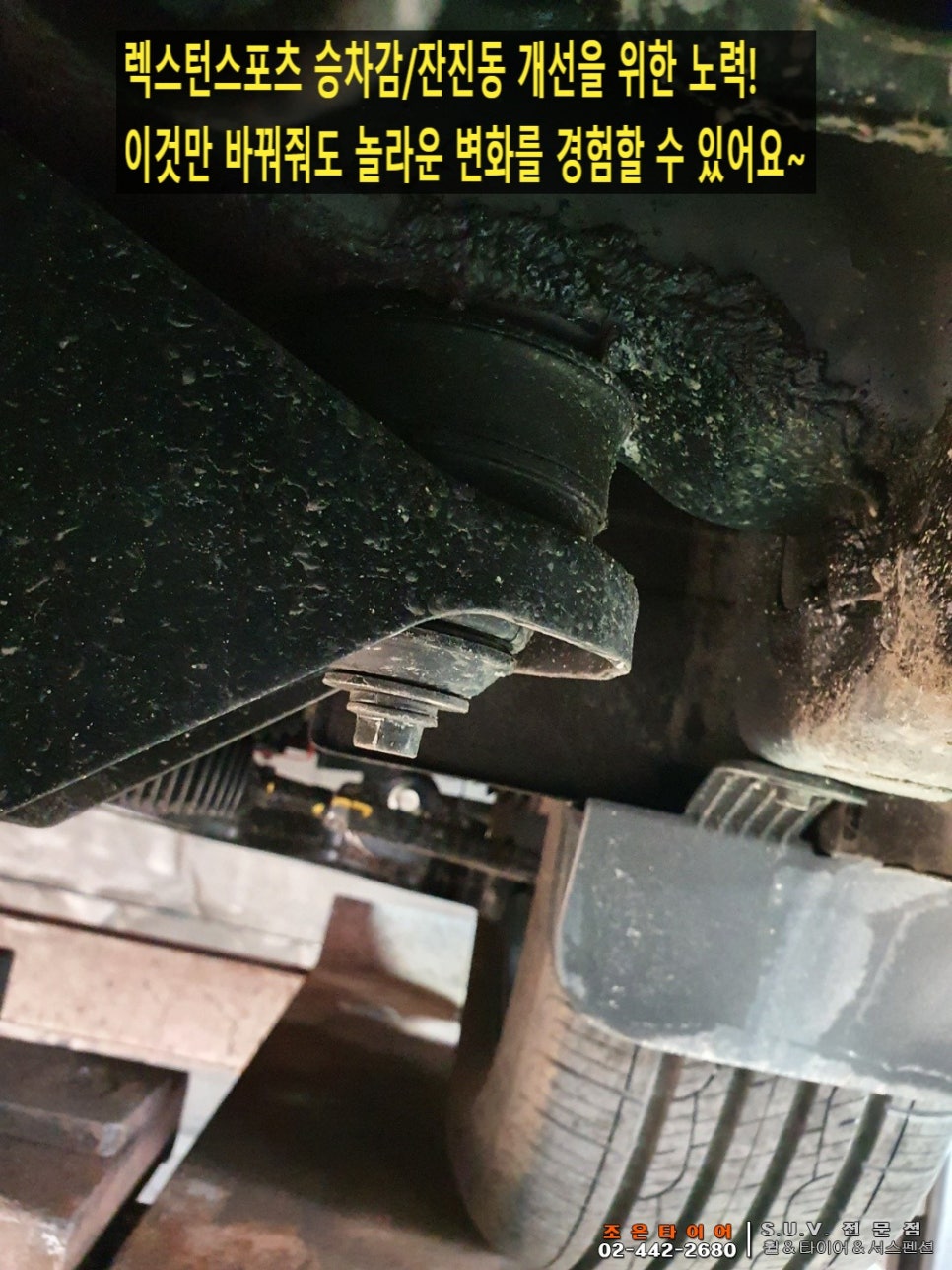 젤리스프링 이미지