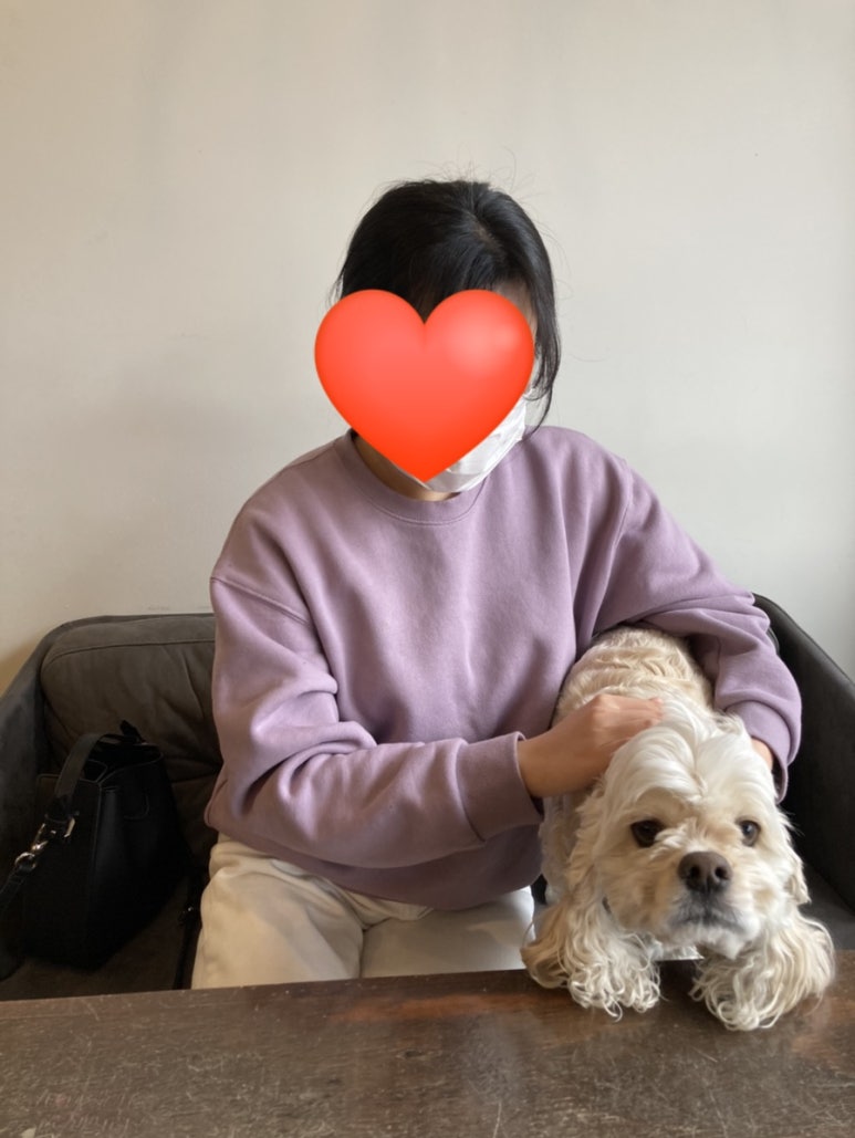 향기뜰플라워 이미지