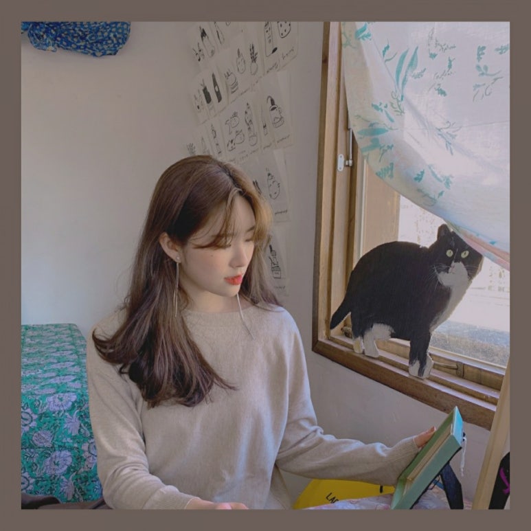일상다실 이미지