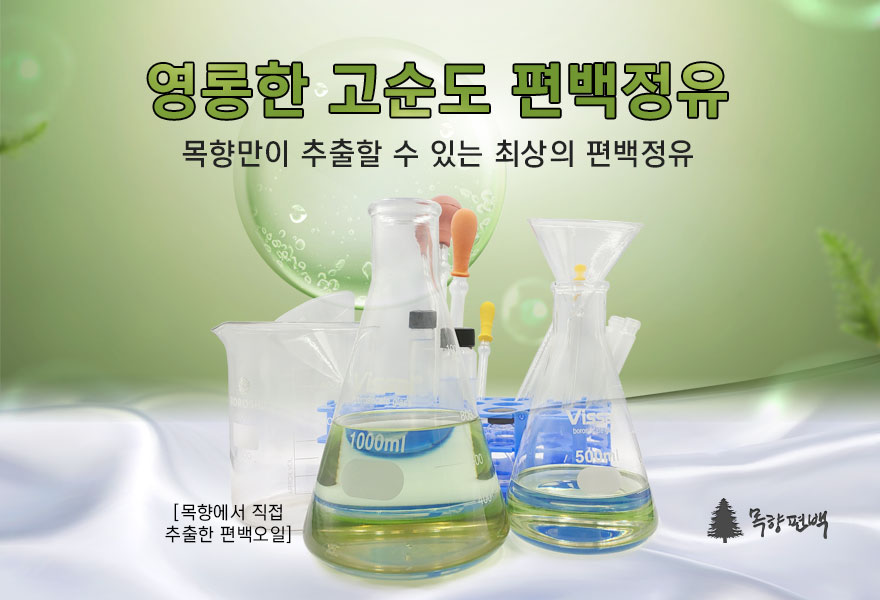 목향편백 이미지