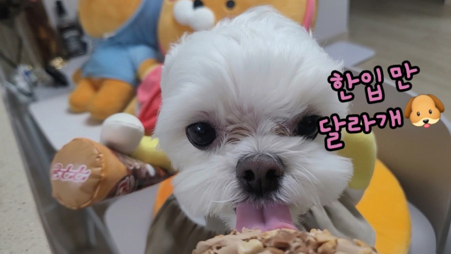 먹자 이미지
