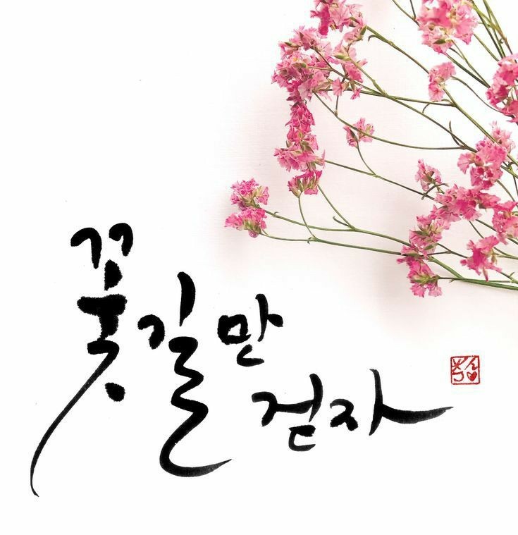 와이에스투어 이미지