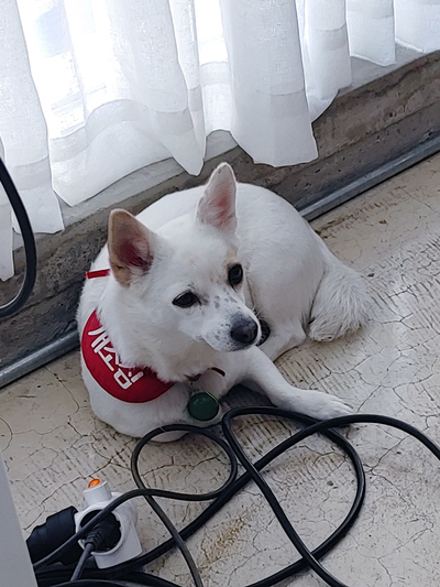 연남동 미누 이미지
