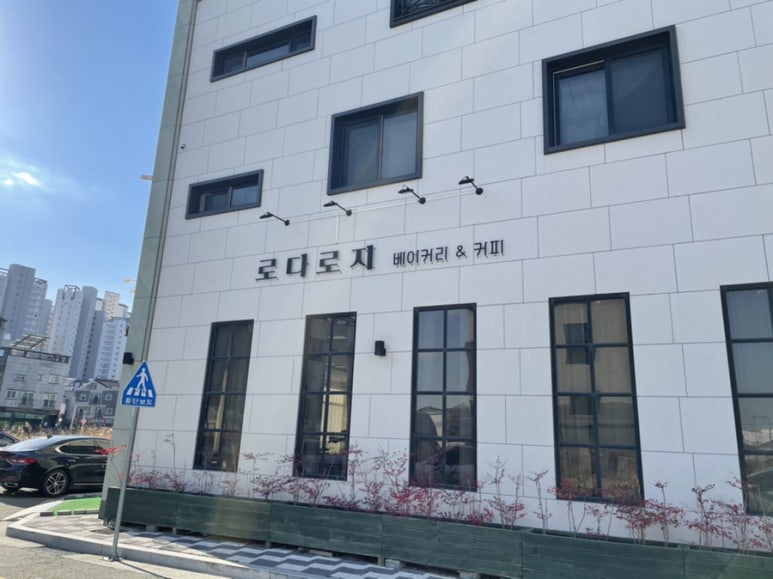 로다로지 이미지