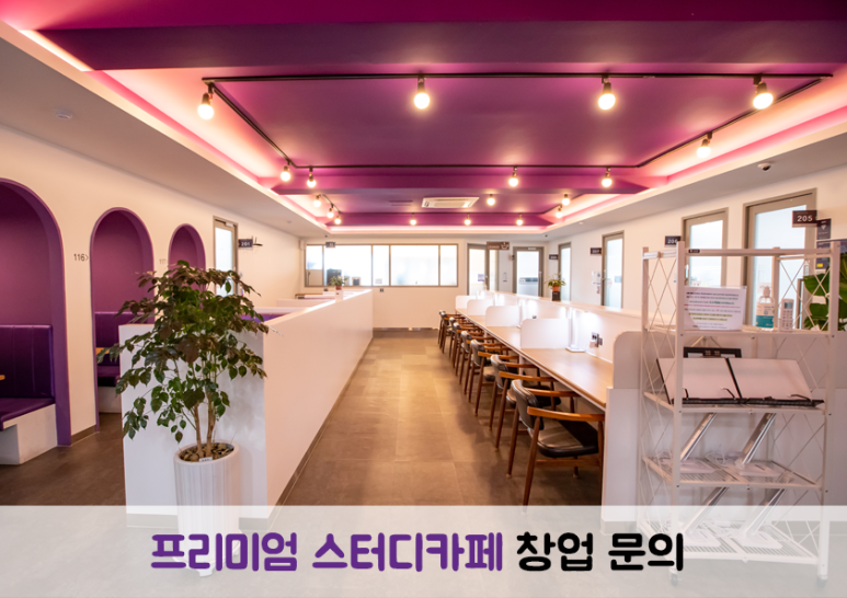 셀디스터디카페나주 이미지