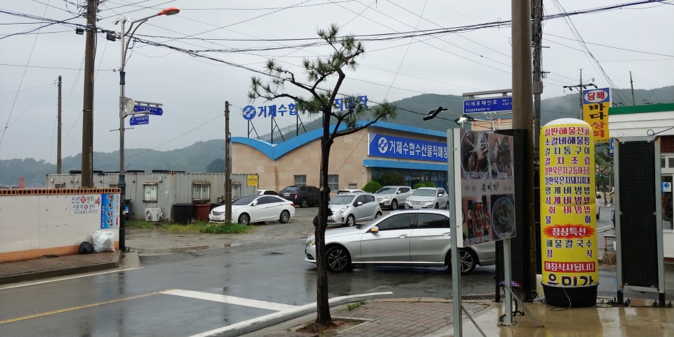 지세포커피 이미지