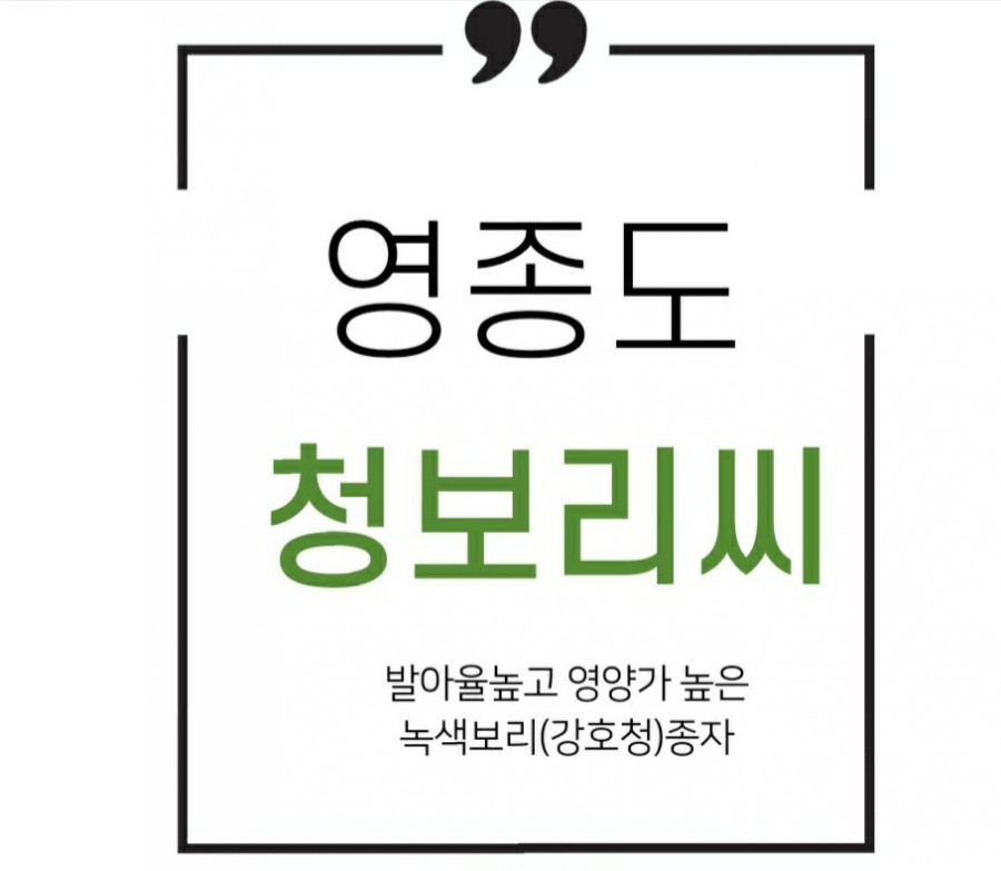 보리씨 이미지