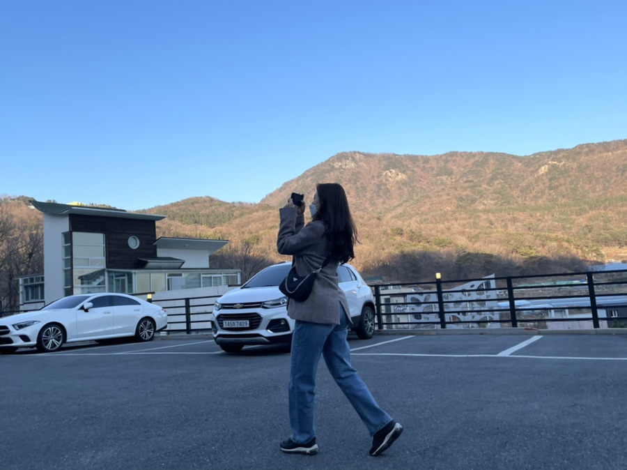 베이커달리아 이미지