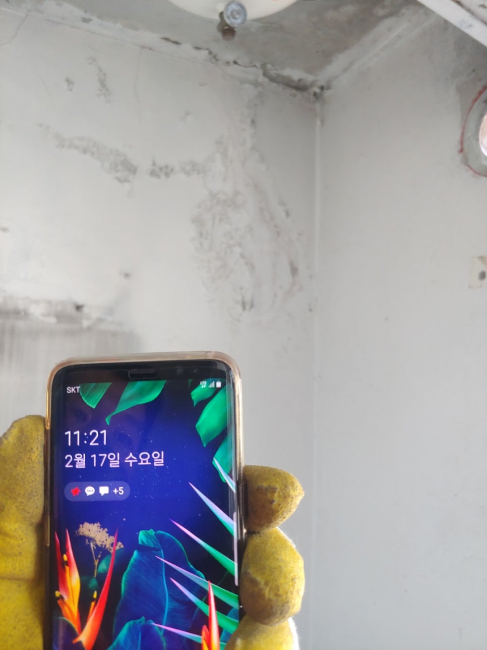 대풍가스 이미지
