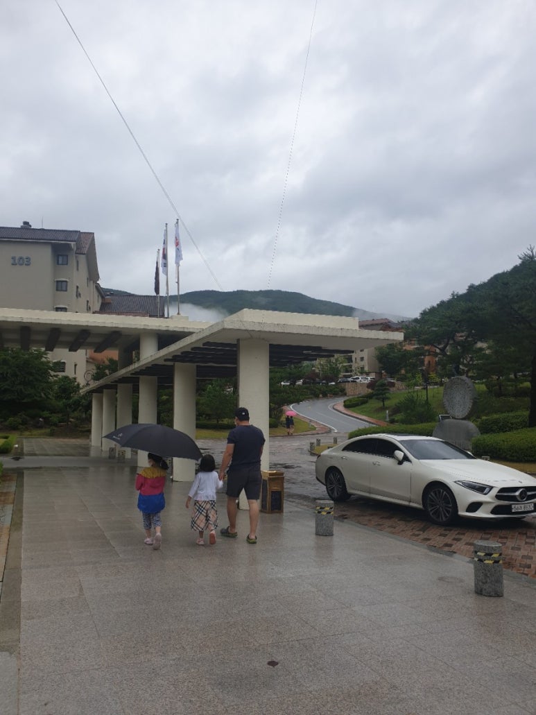 (주)동강시스타 이미지