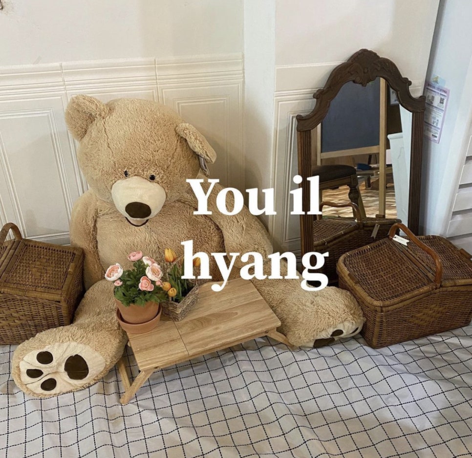 유일향 이미지