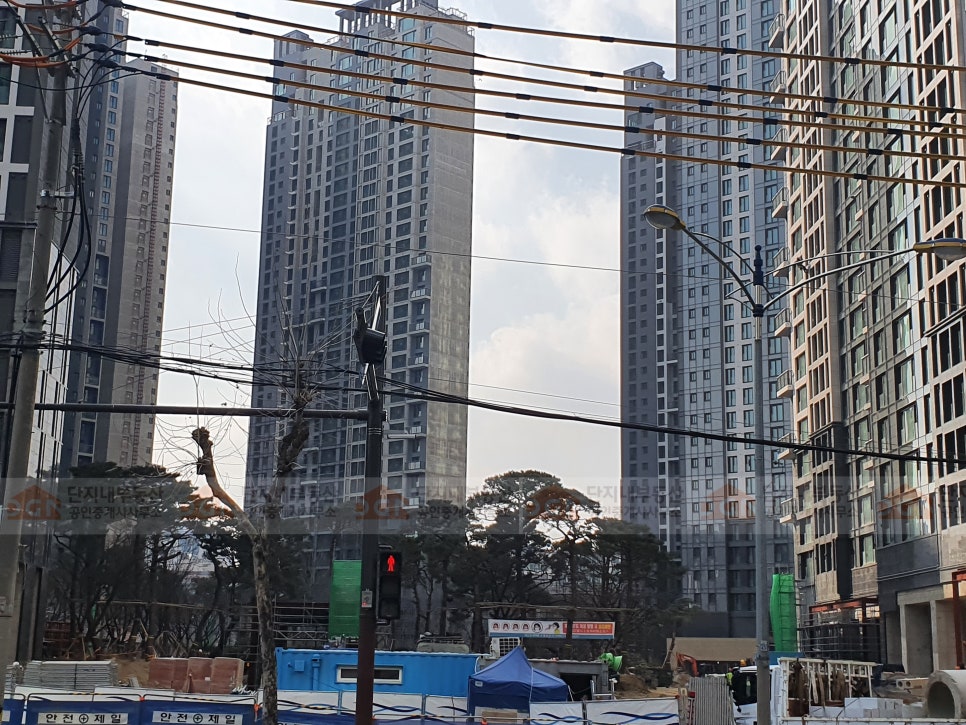 매일조경인력 이미지