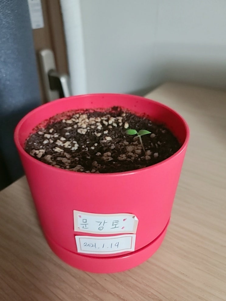 강토 이미지