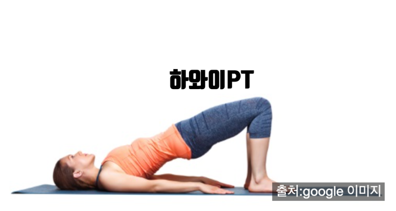 하와이피티 이미지