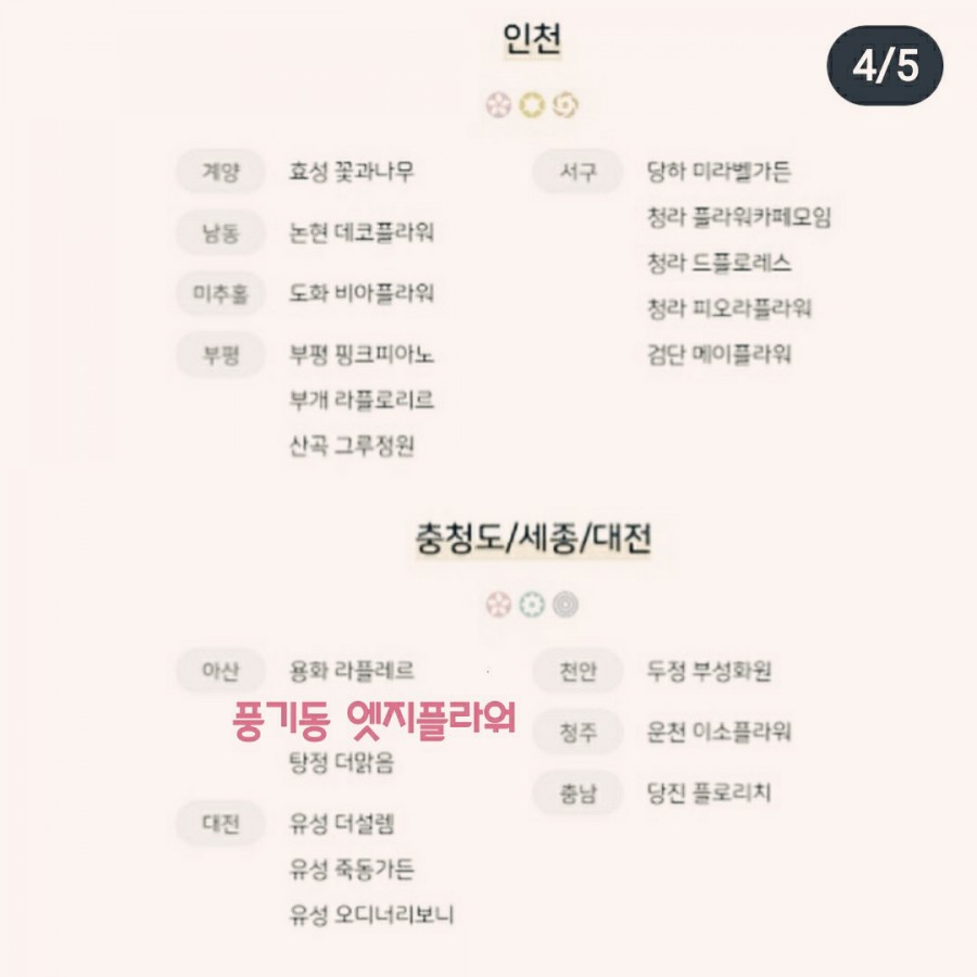아산플라워 이미지