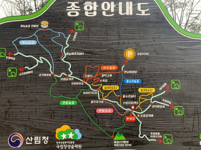 블루반디 이미지