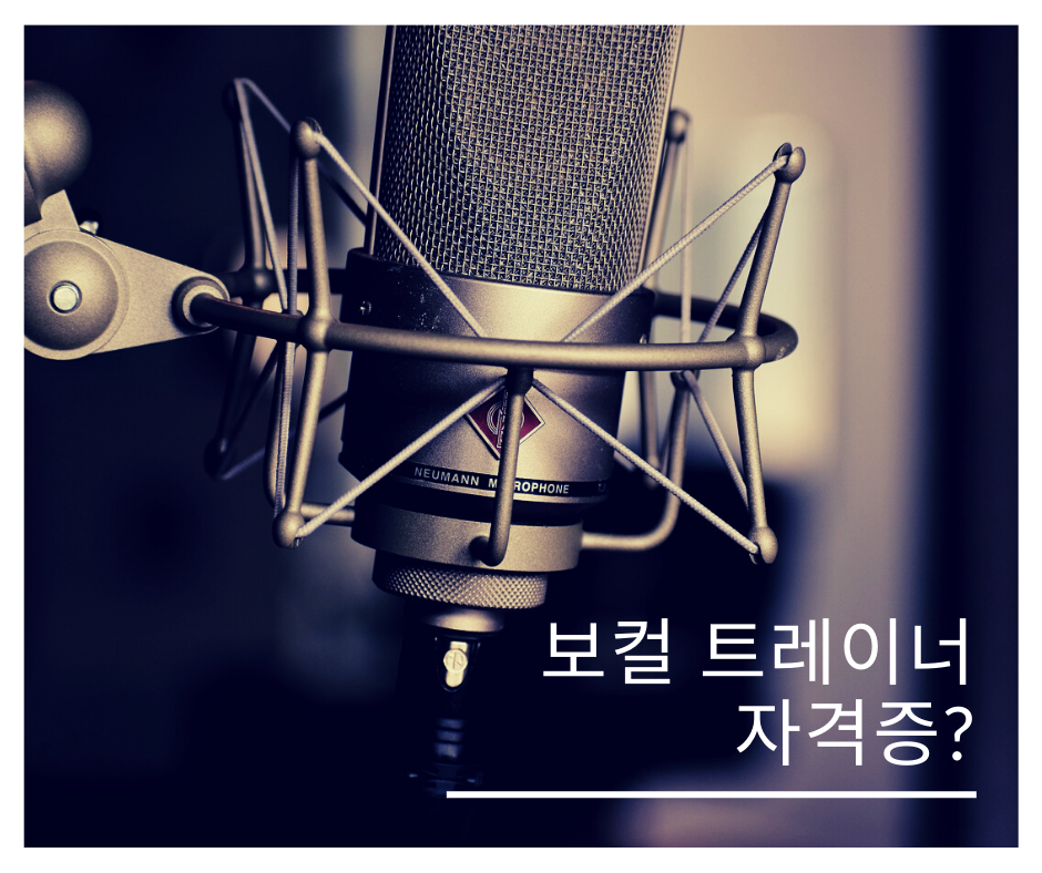 프로보컬인스티튜트 이미지