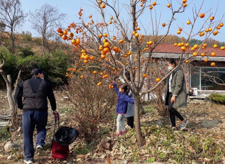 산뜰애추평호산뜰애마을 이미지