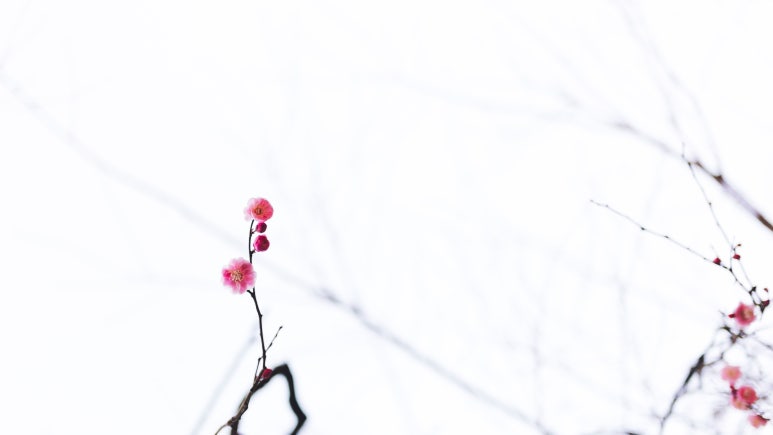 유에(YUE) 이미지