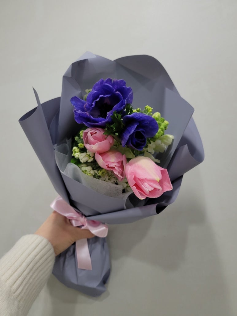 아이디플랜츠 이미지