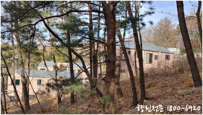 숲속토목설계사무소 이미지