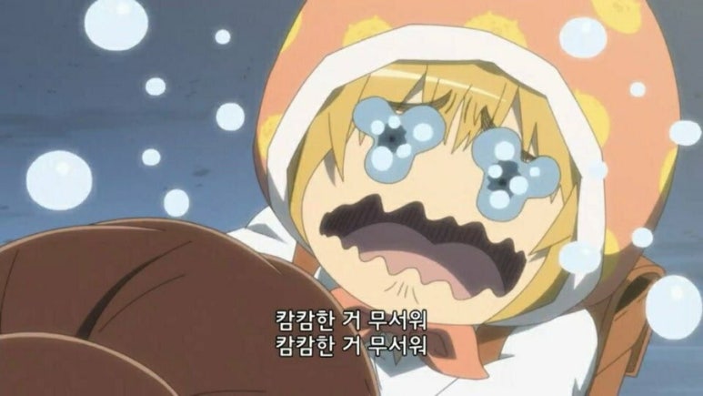 아르민 이미지