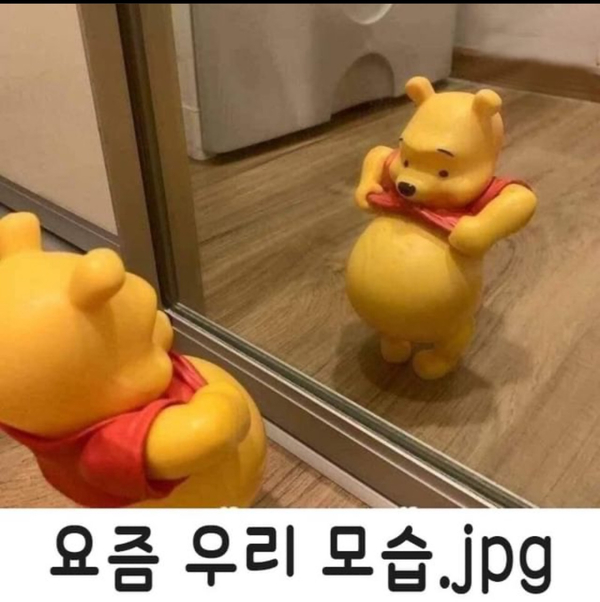 라이프프로젝트 이미지