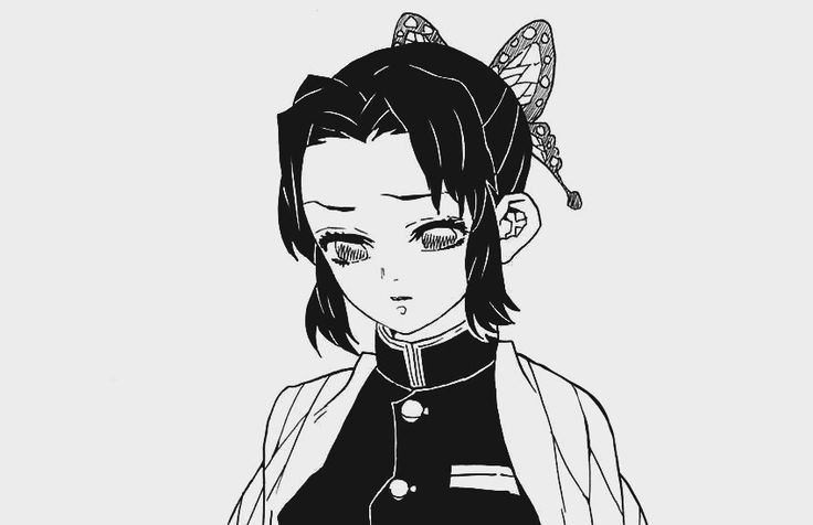 코쵸 이미지