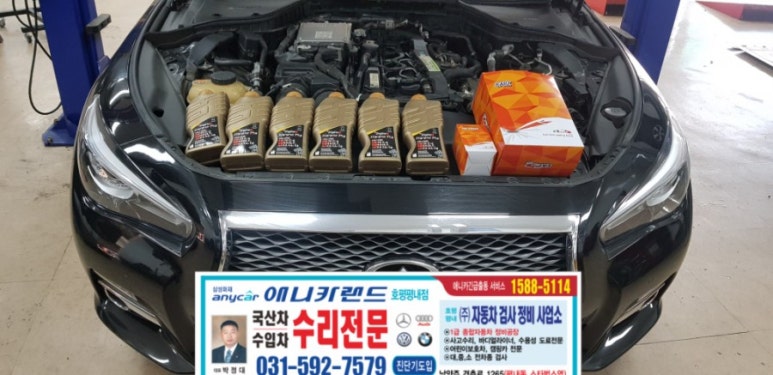 애니카랜드 이미지