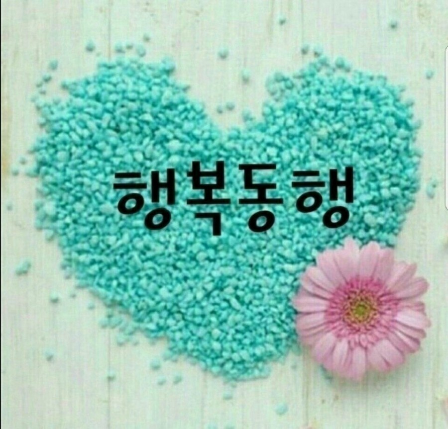 레크박사 이미지
