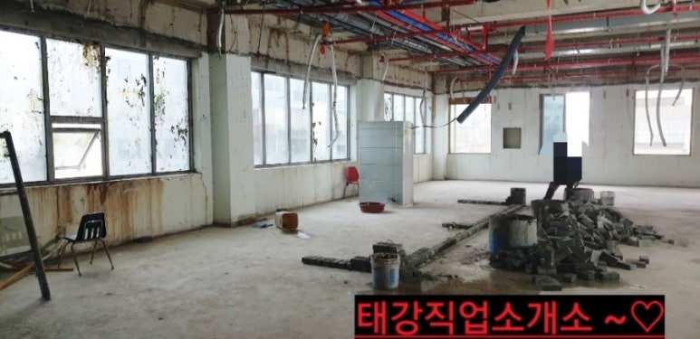 황금직업소개소 이미지