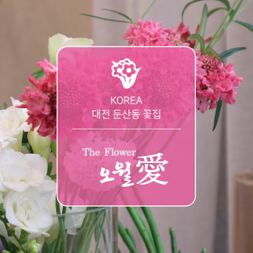 갈마꽃집 이미지