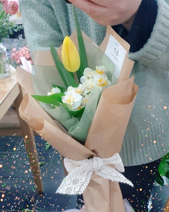 에코자인 이미지