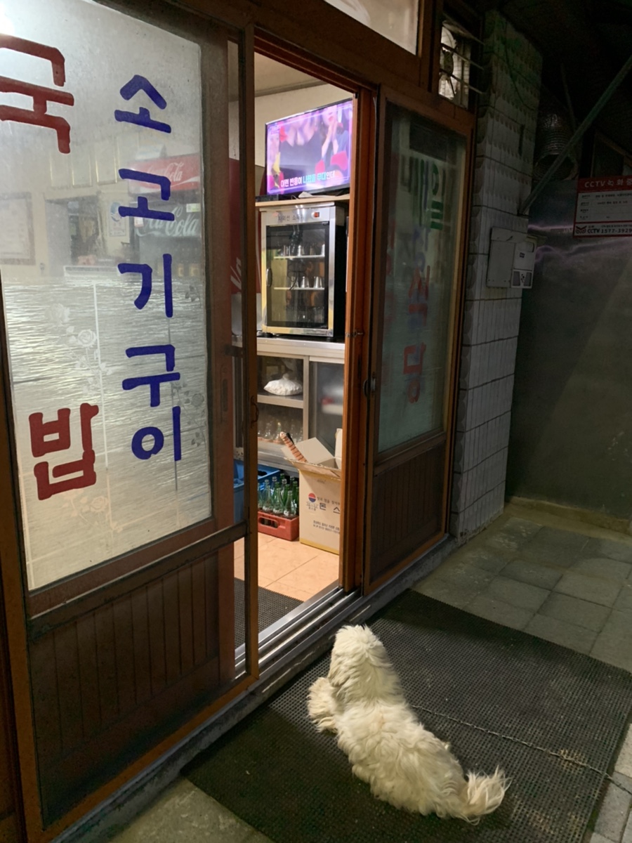 매일식육점 이미지