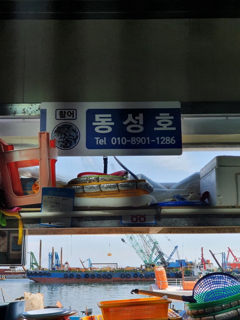 동성호횟집 이미지